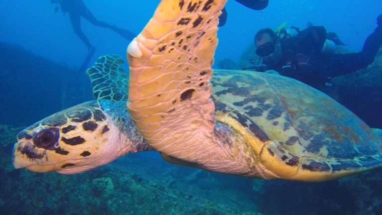 centro de buceo lanzarote