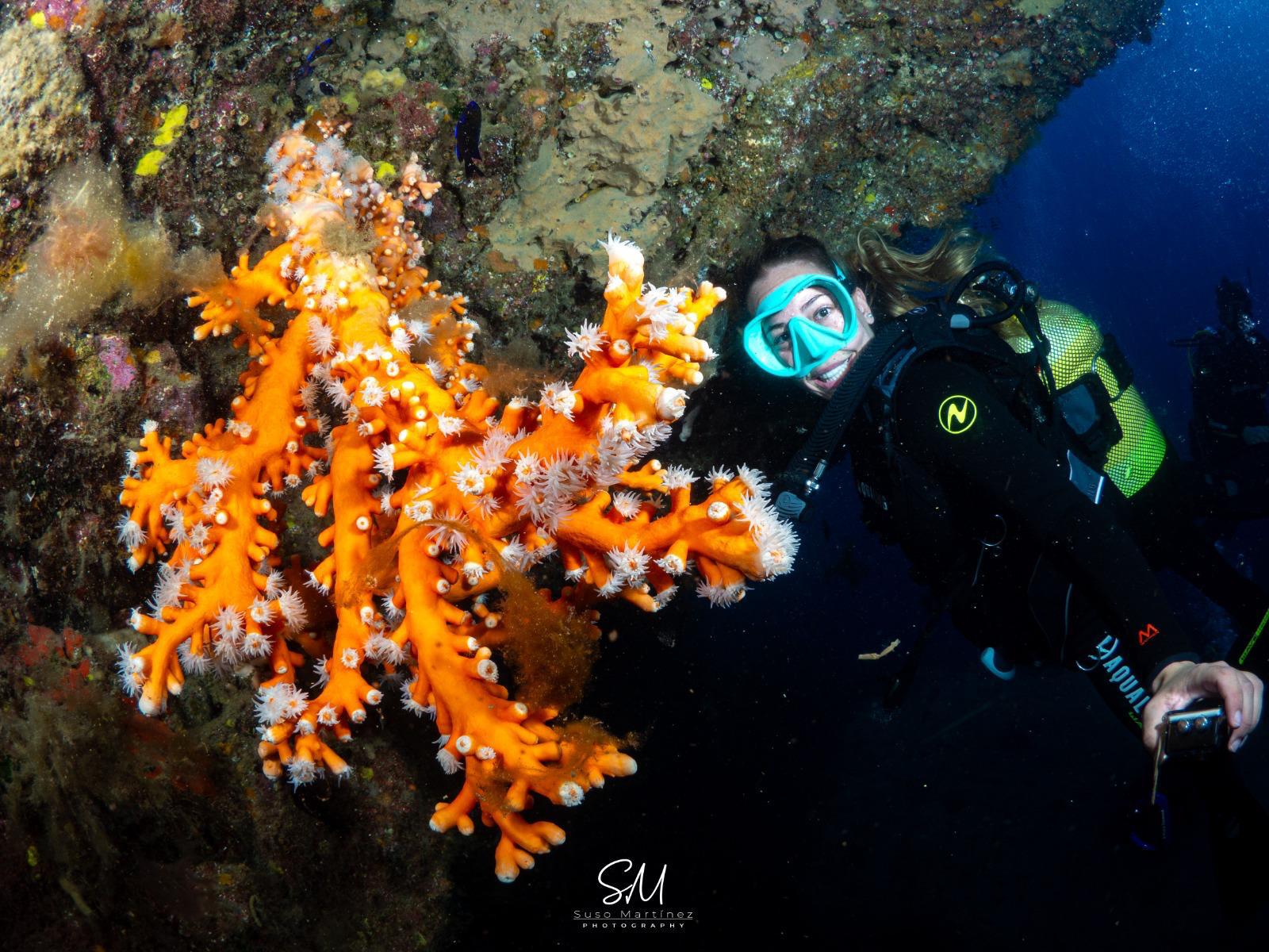 coral-naranja-buzo-lanzarote.jpeg
